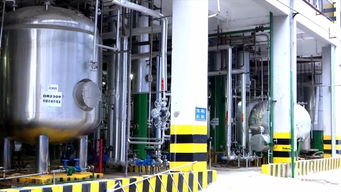 河源之光 新興能源技術(shù)研發(fā)領(lǐng)軍企業(yè)，產(chǎn)品遠(yuǎn)銷(xiāo)歐非美洲