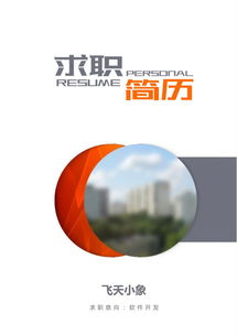 計(jì)算機(jī)軟件開發(fā)簡(jiǎn)歷模板與撰寫指南